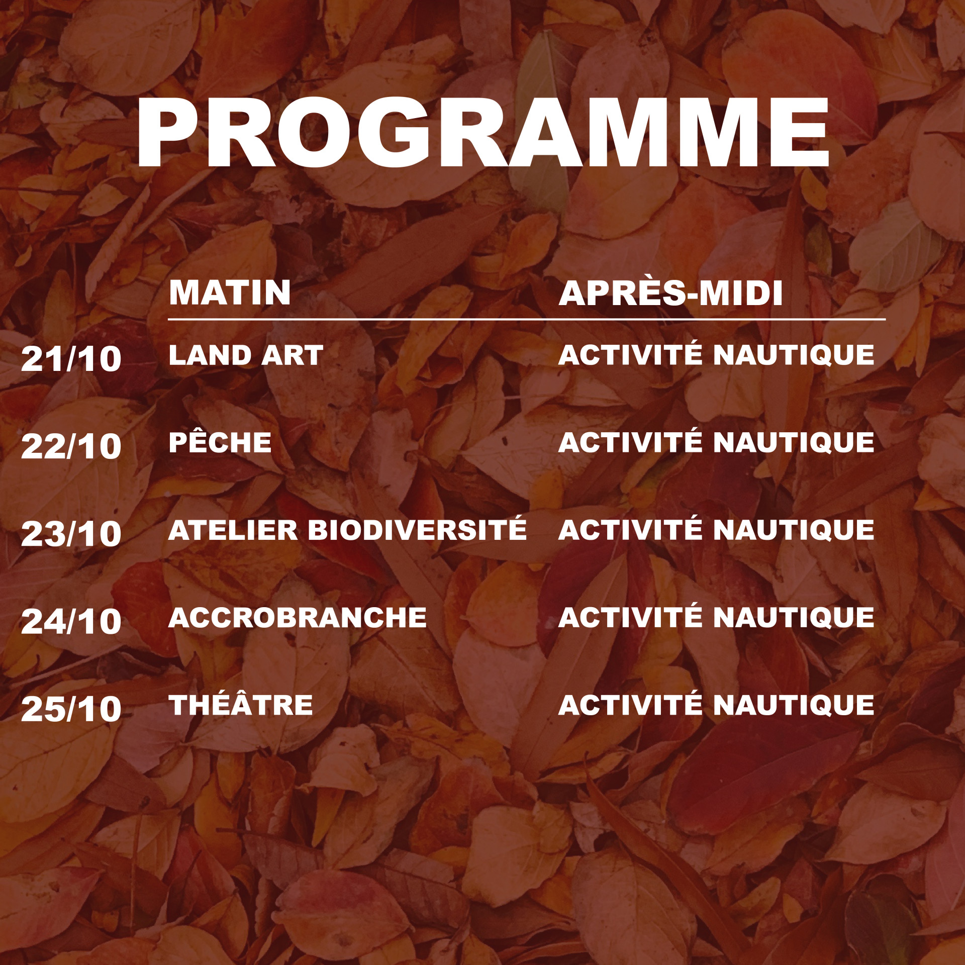 Programme du stage muti activités